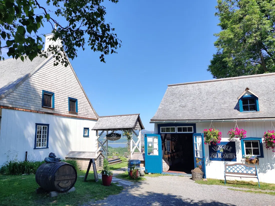 Vignoble Isle de Bacchus, Quebec