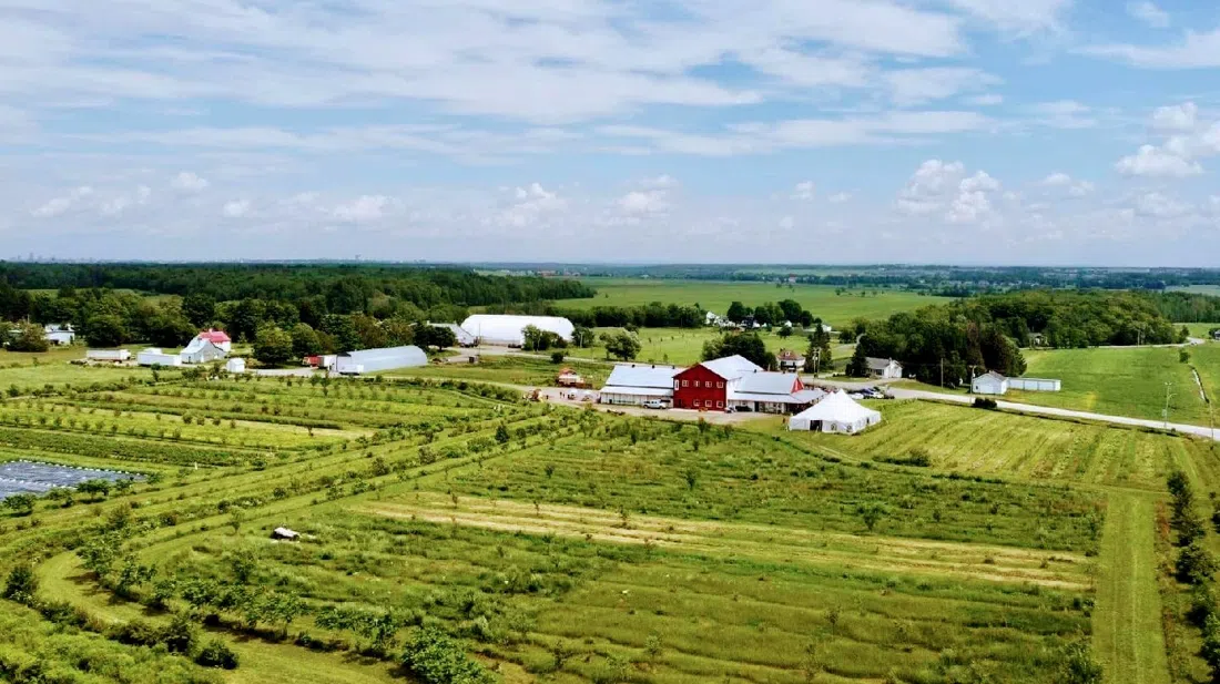 Cité Agricole — La Cabane, Quebec