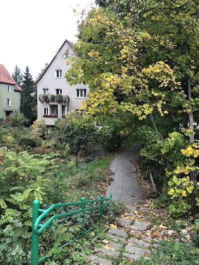 Biskupin