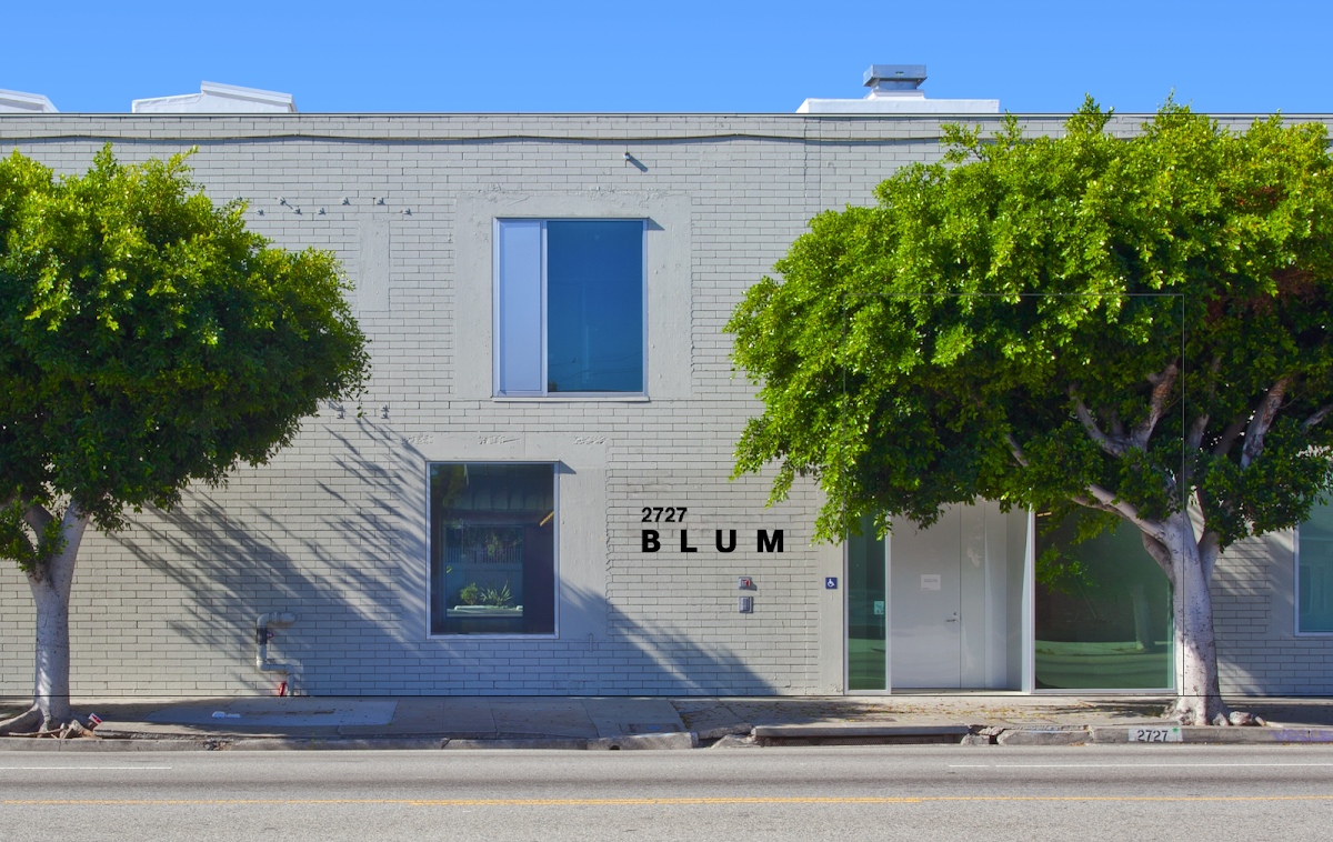 Blum — photo 2