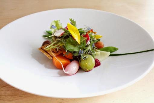 Bolenius, Amsterdam