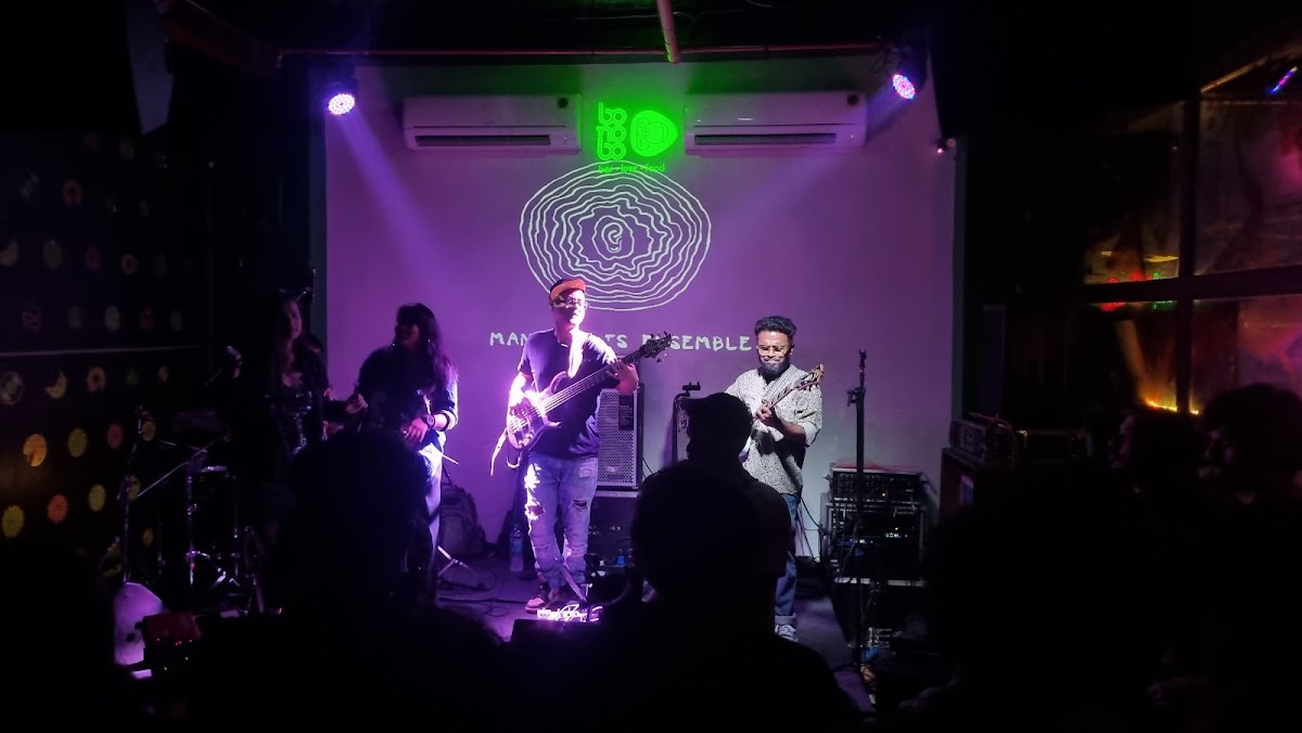 Bonobo — photo 3
