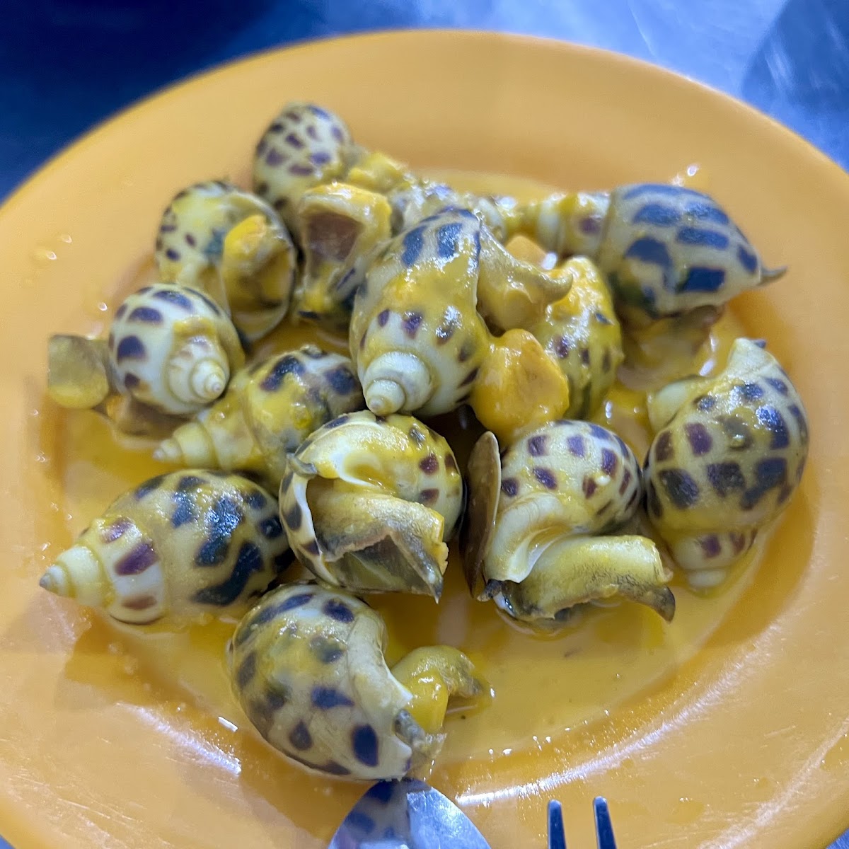 Ốc Như, Saigon
