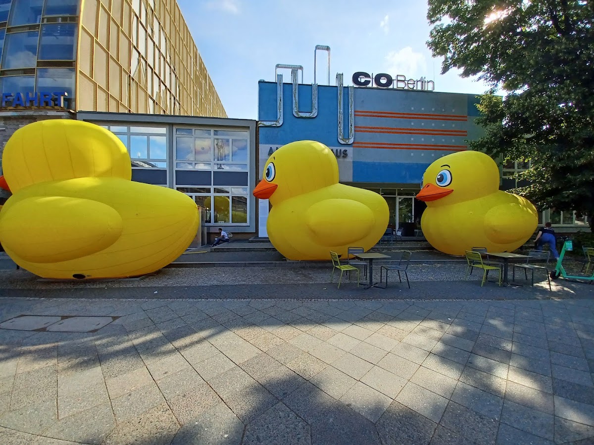 C/O Berlin — photo 5