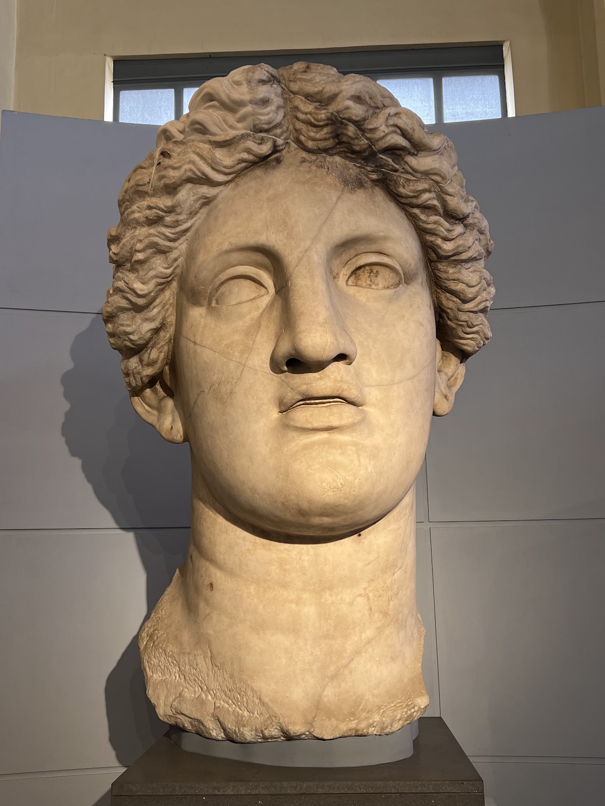 Centrale Montemartini — photo 2