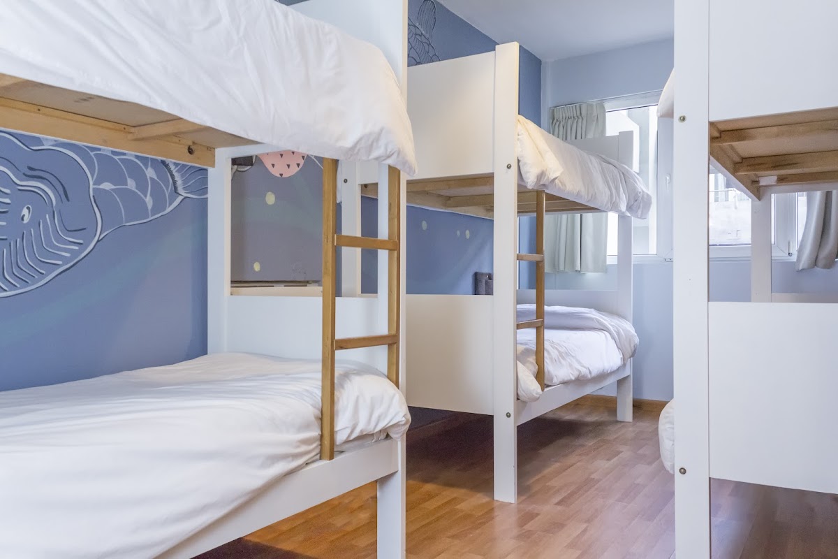 Circus Hostel — photo 5