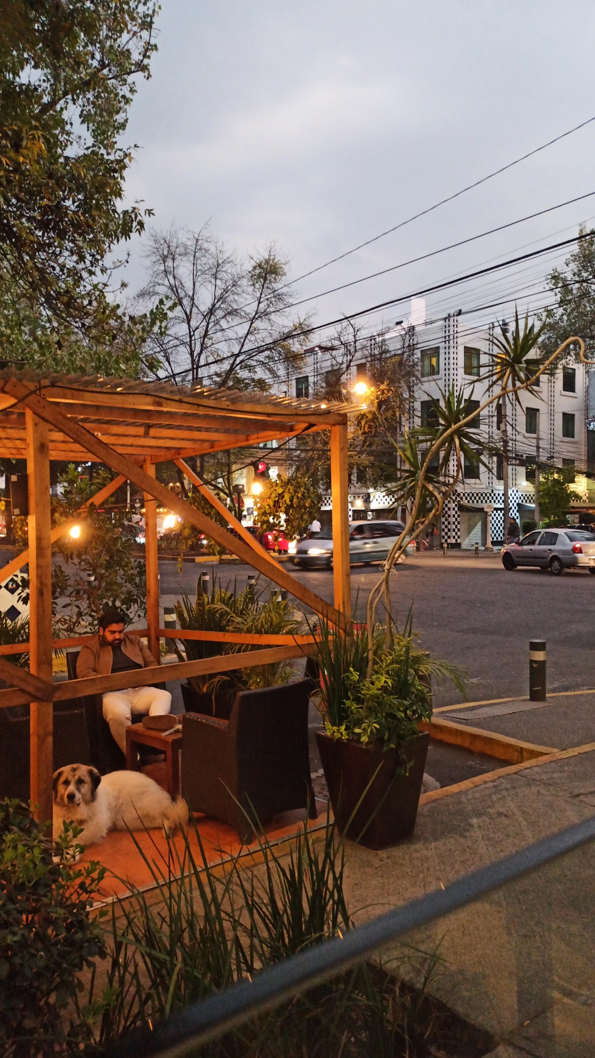 Condesa DF, Mexico City