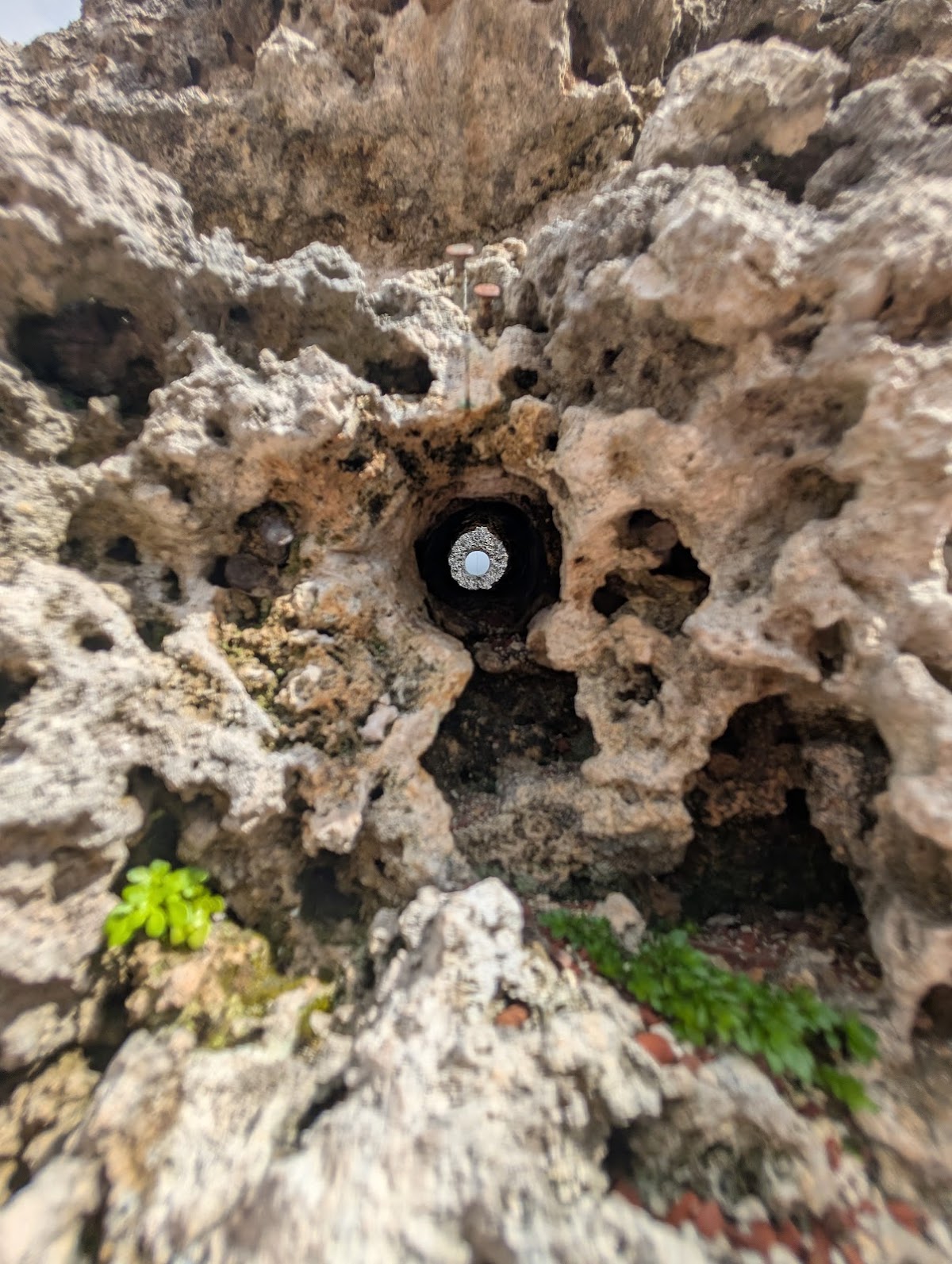 Coral Castle, Miami