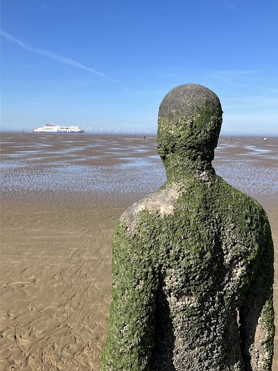 Crosby Beach Art Installation