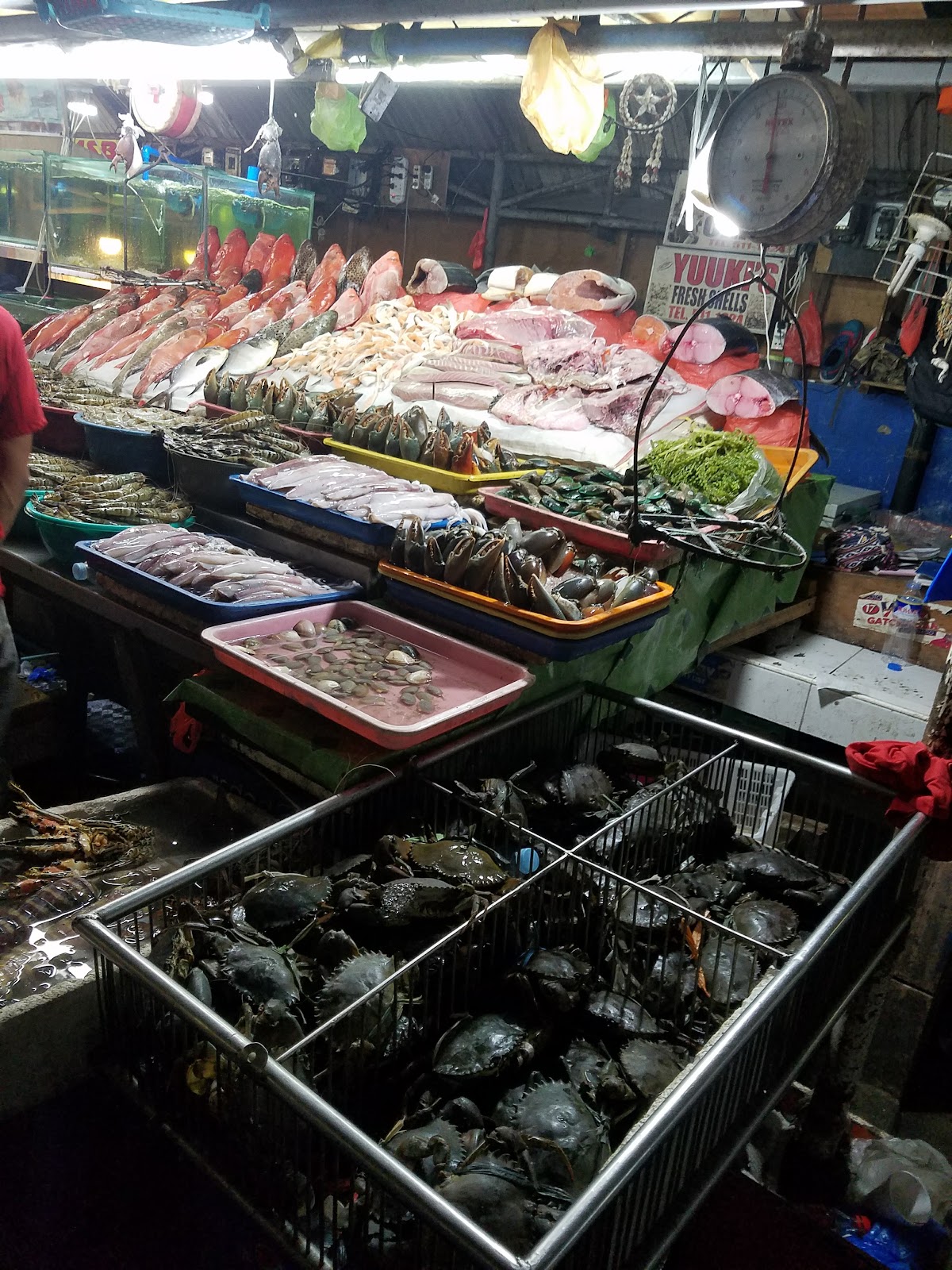 Dampa sa Macapagal — photo 2