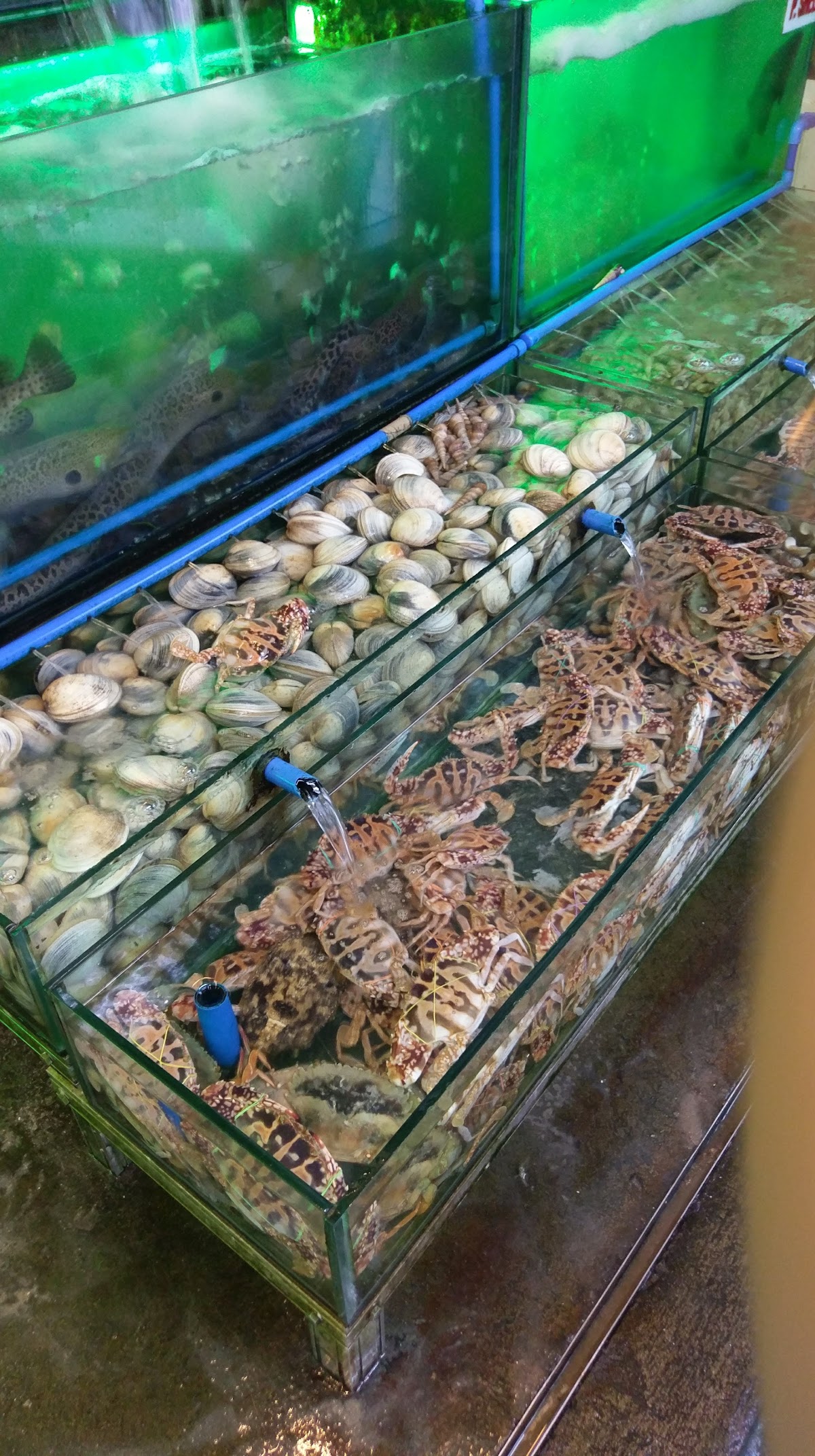 Dampa sa Macapagal — photo 3
