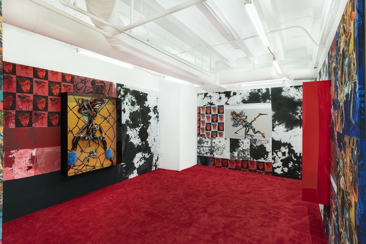 David Castillo Gallery — photo 4