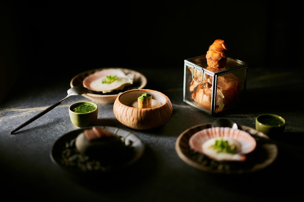 Dill — photo 2