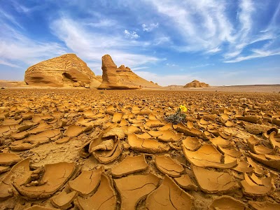 Fayoum Oasis & Wadi El Hitan