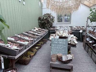 Fika at Rosendals Trädgård