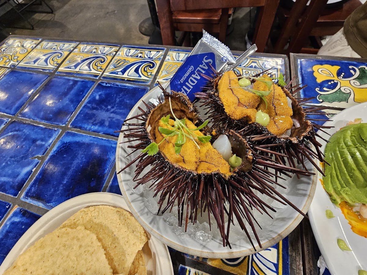 Holbox — photo 2