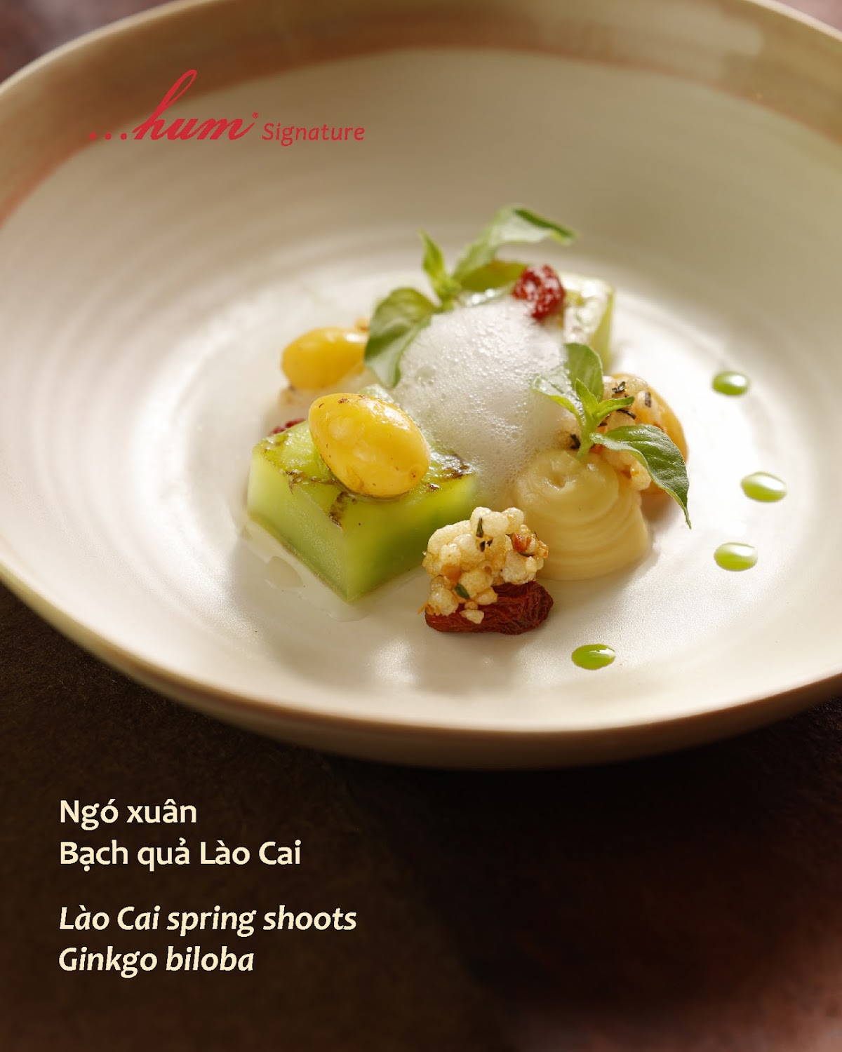 Hum Vegetarian — photo 2