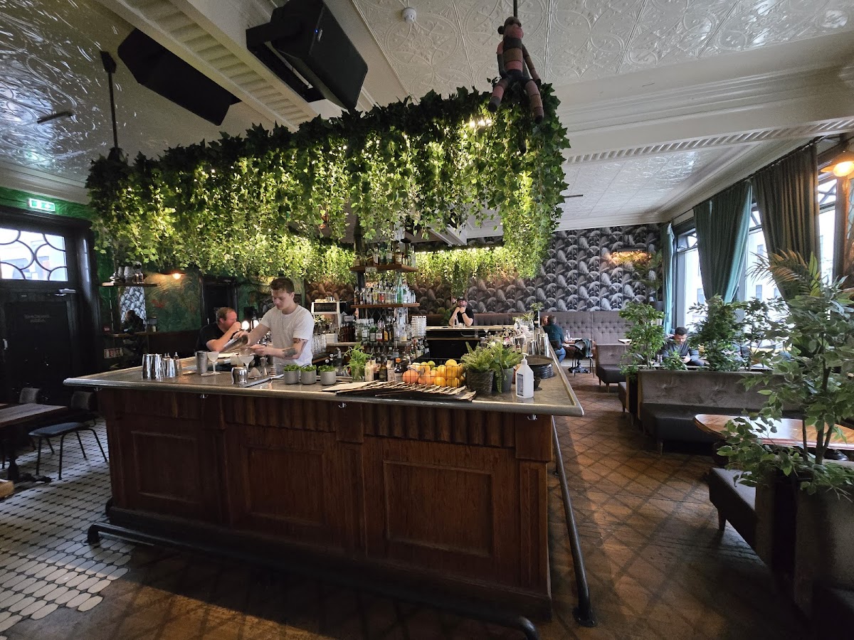 Jungle Cocktail Bar — photo 2
