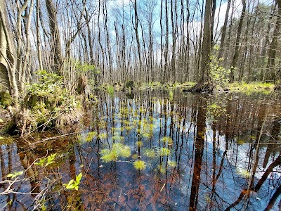 Kampinos National Park