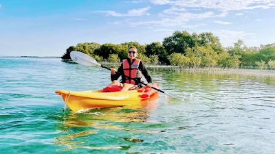Kayaking in the Mangroves