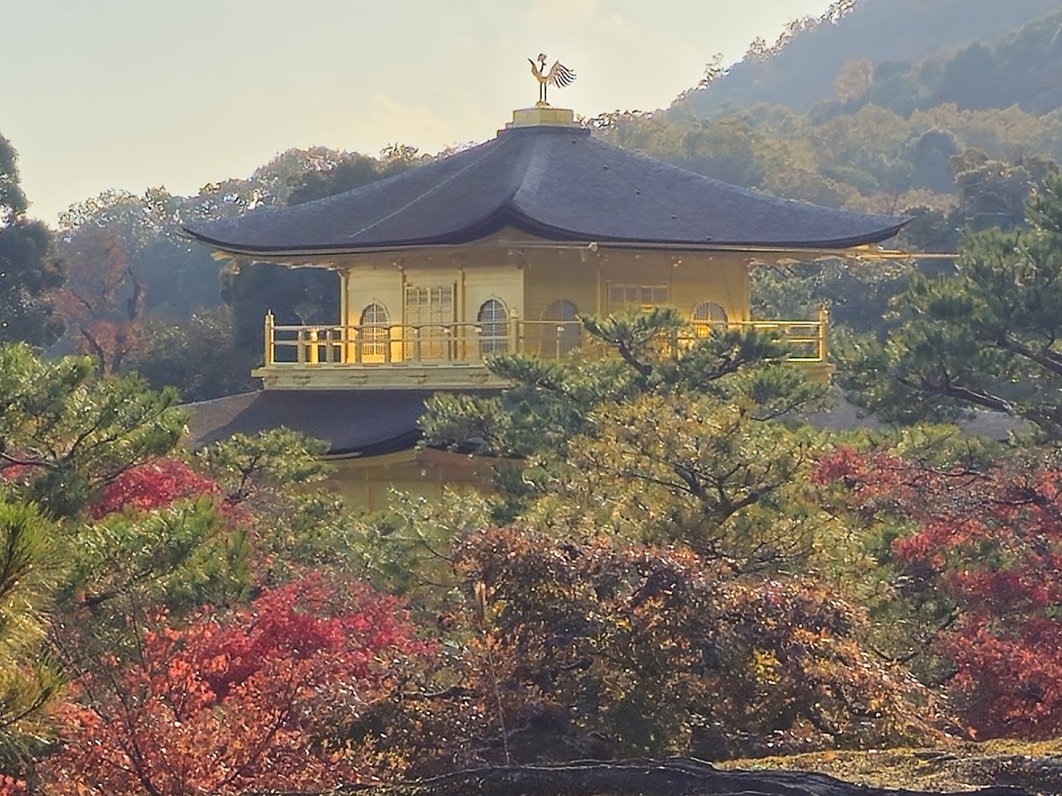 Kinkaku-ji (The Golden Pavilion) — photo 3