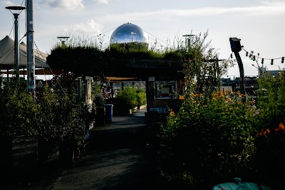 Klunkerkranich
