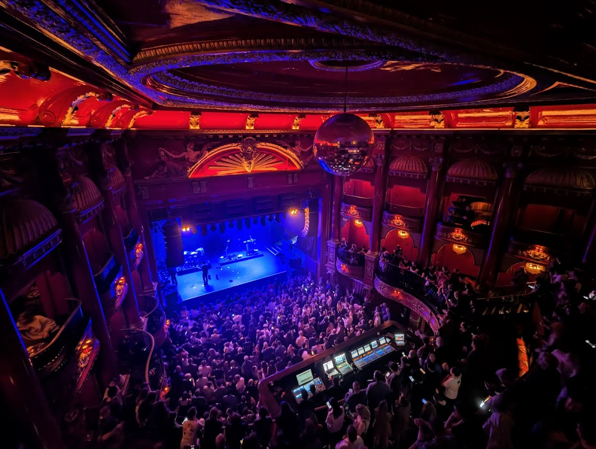 KOKO — photo 2