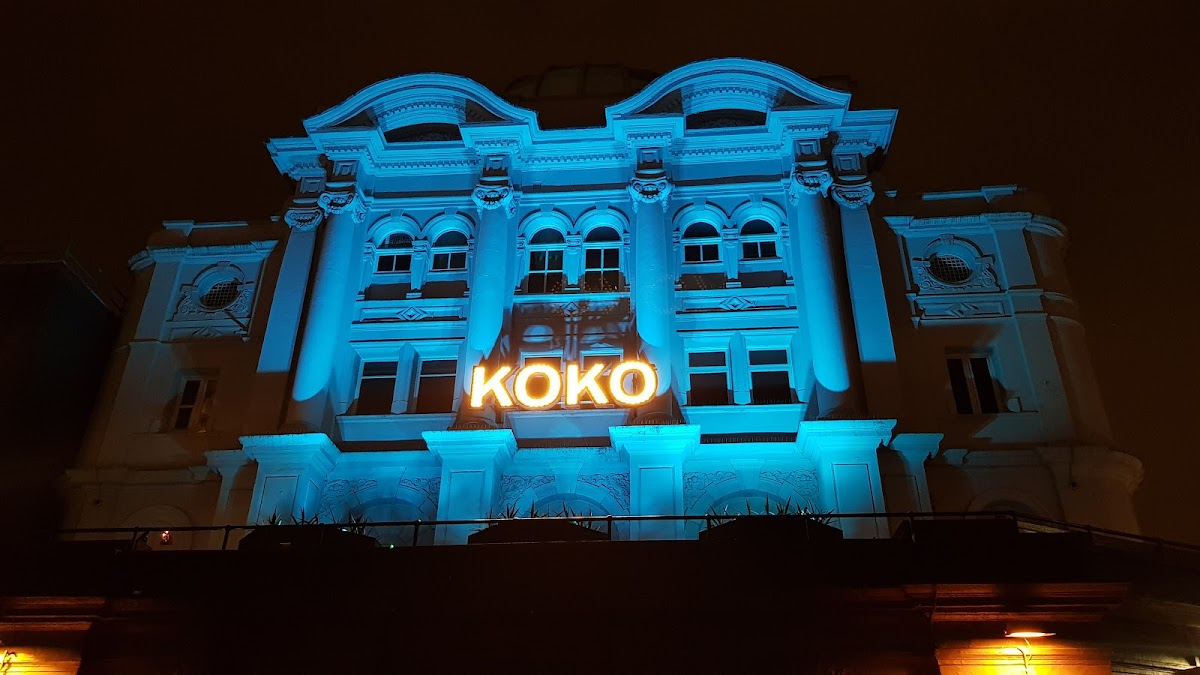 KOKO — photo 3