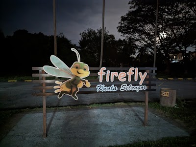 Kuala Selangor Fireflies