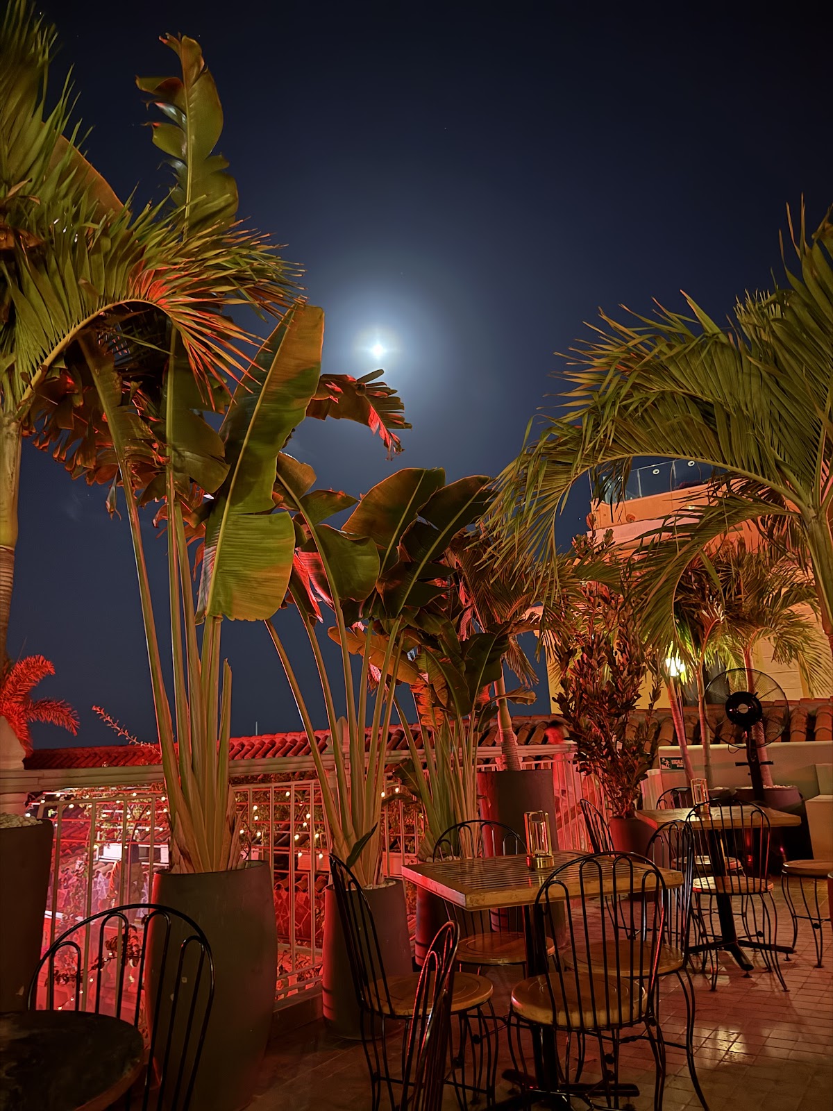 La Movida — photo 4