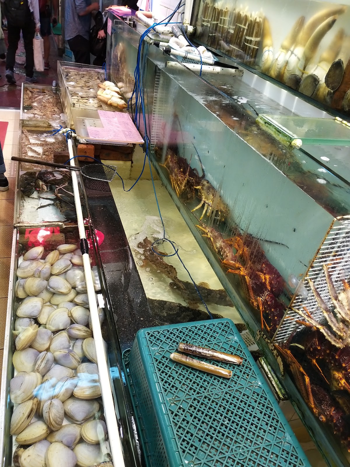 Lei Yue Mun Seafood Bazaar — photo 2