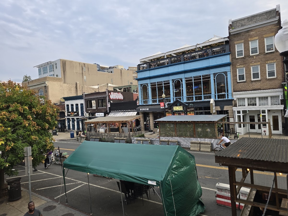 Madam's Organ — photo 4