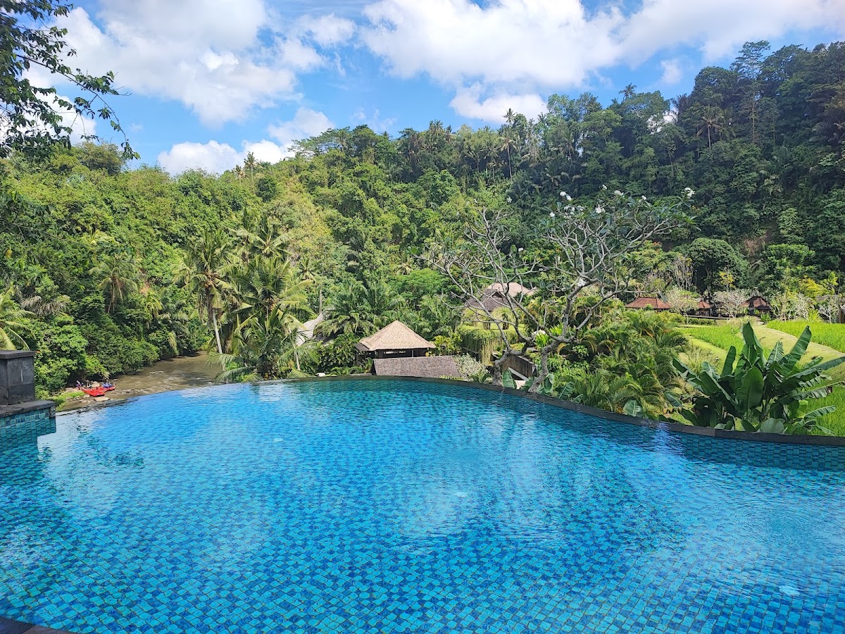 Mandapa, a Ritz-Carlton Reserve — photo 2