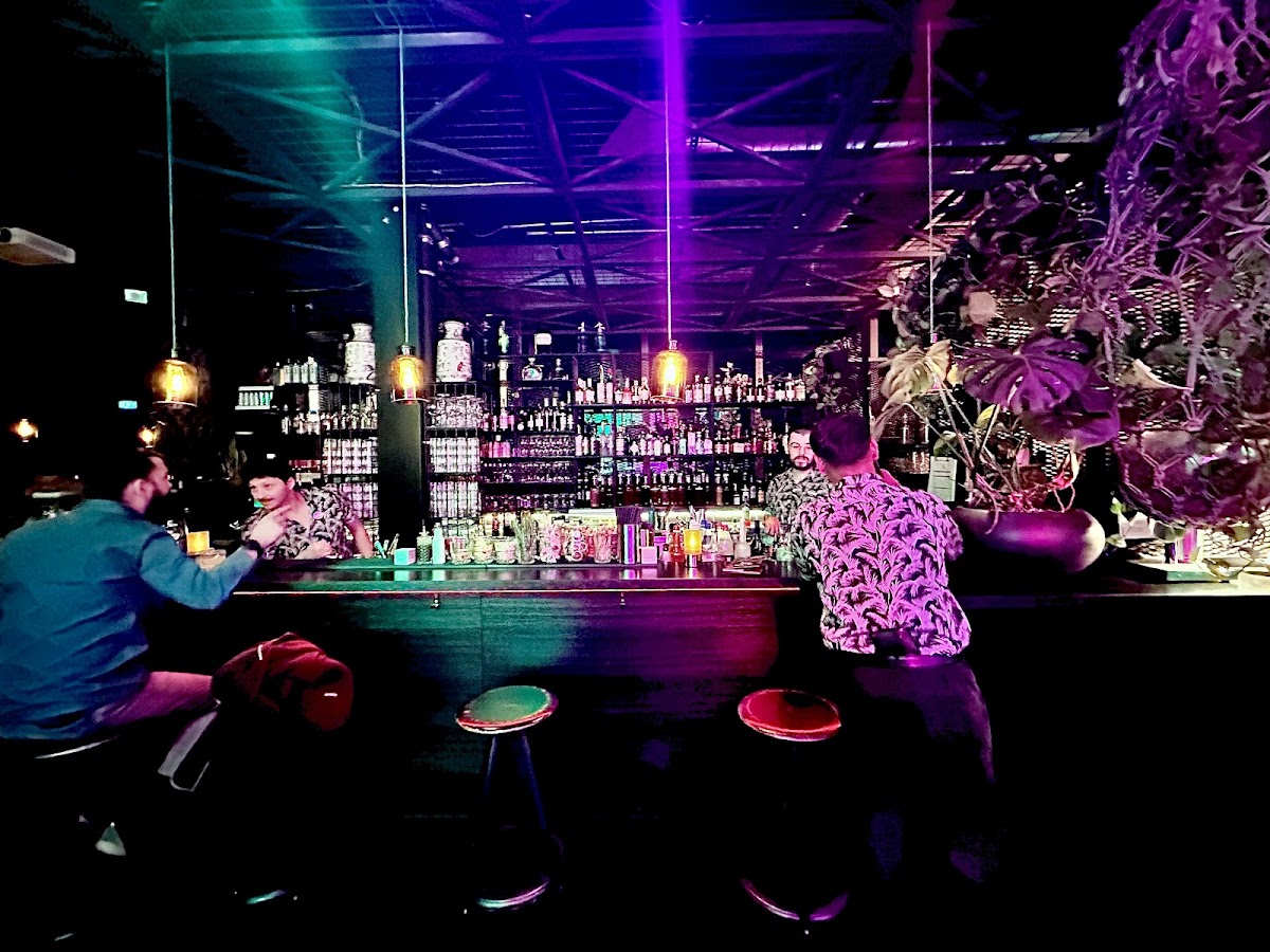 Monkey Bar — photo 4