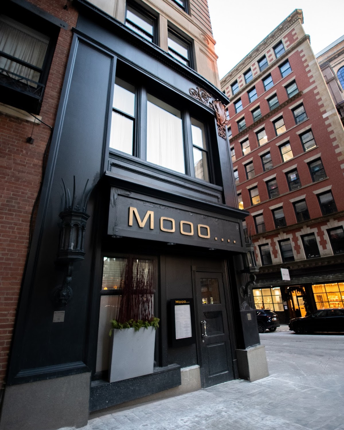 Mooo...., Boston
