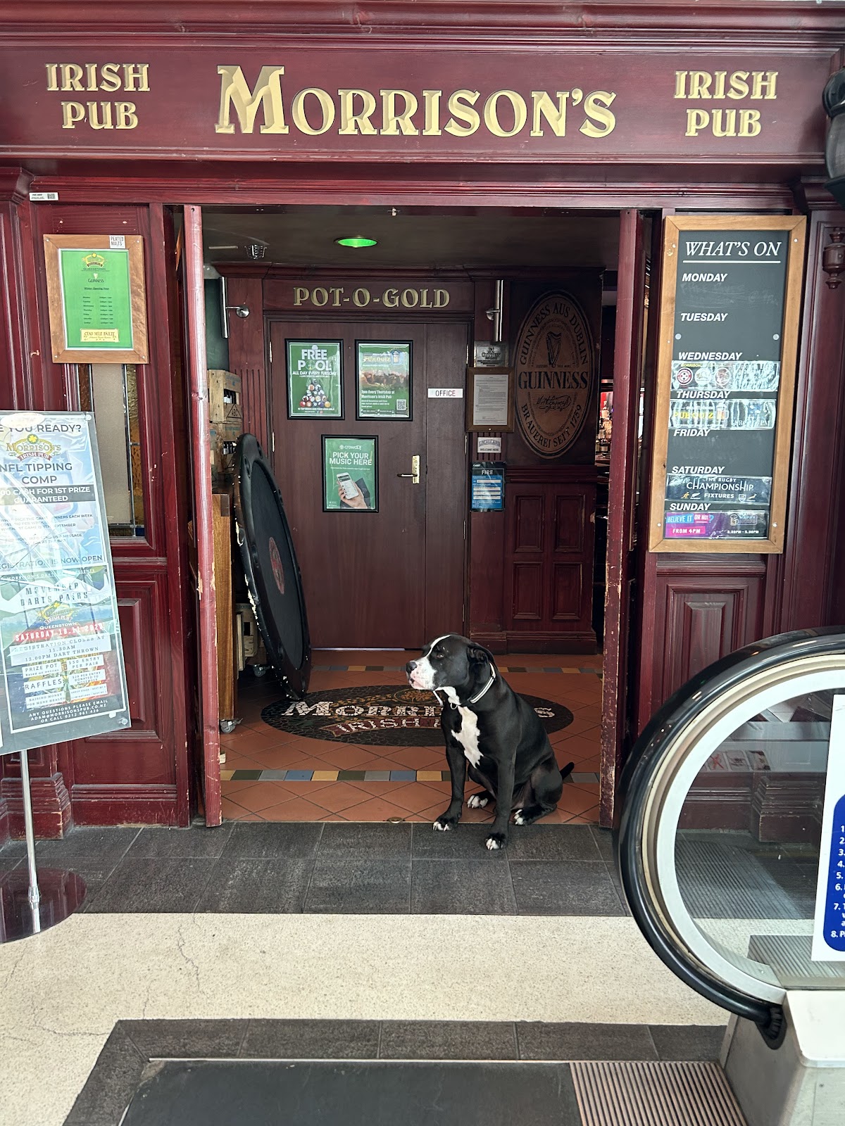Morrison's Irish Pub — photo 3