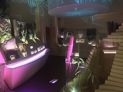 Museo di Storia Naturale