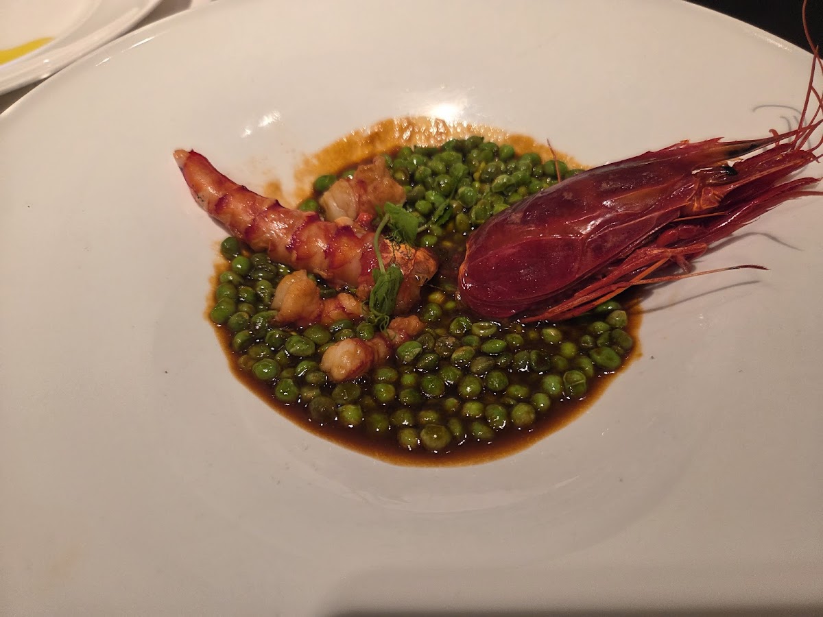 O'Pazo, Madrid