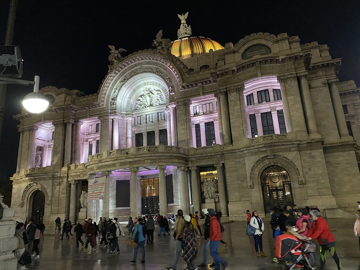 Palacio de Bellas Artes — photo 4