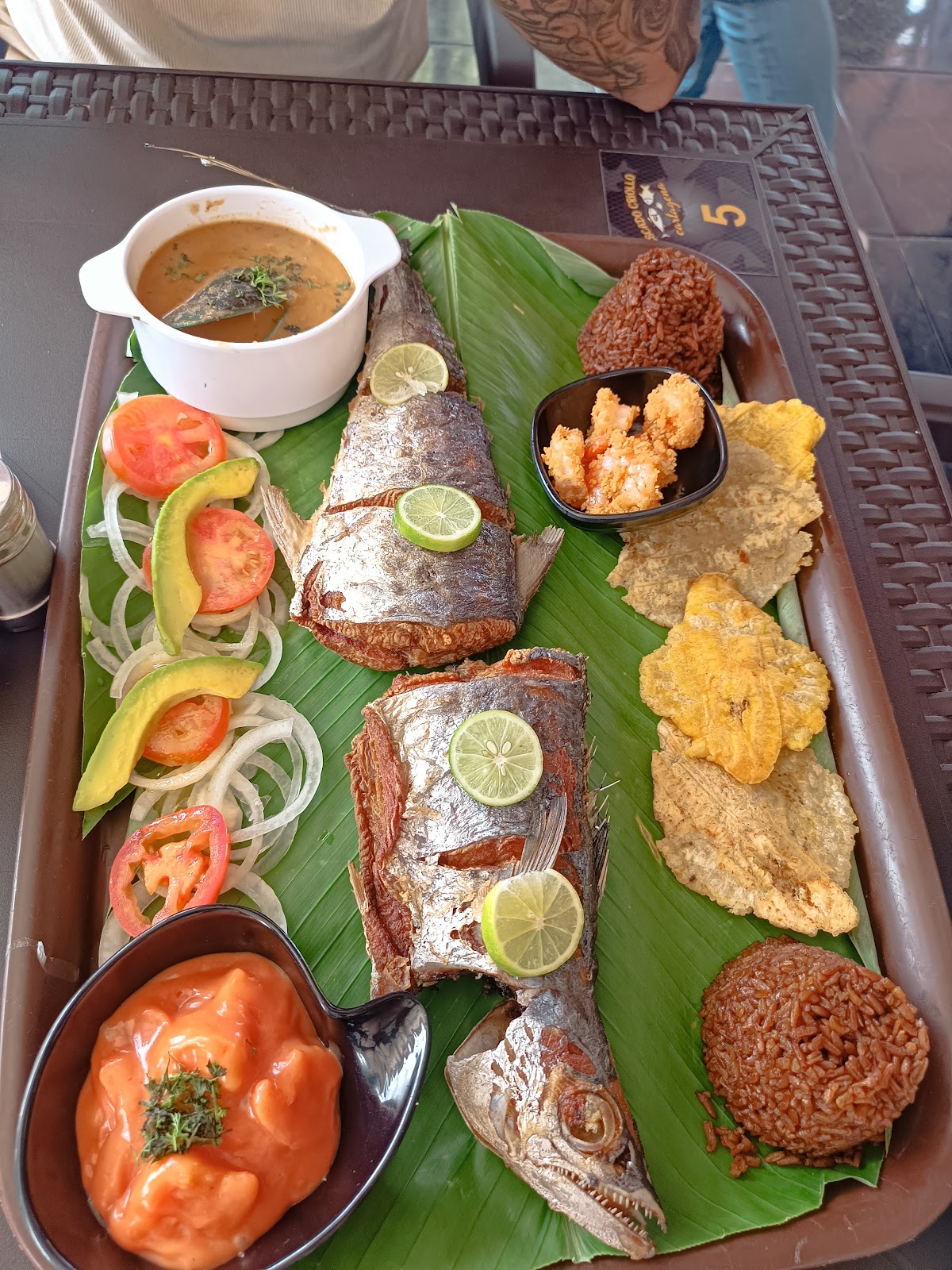 Quero Criollo — photo 2