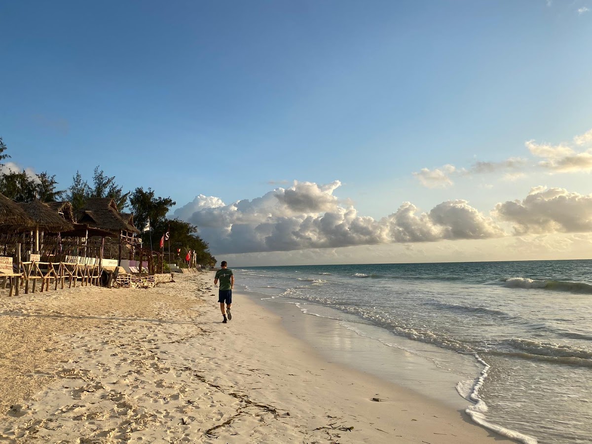 Sari — photo 2