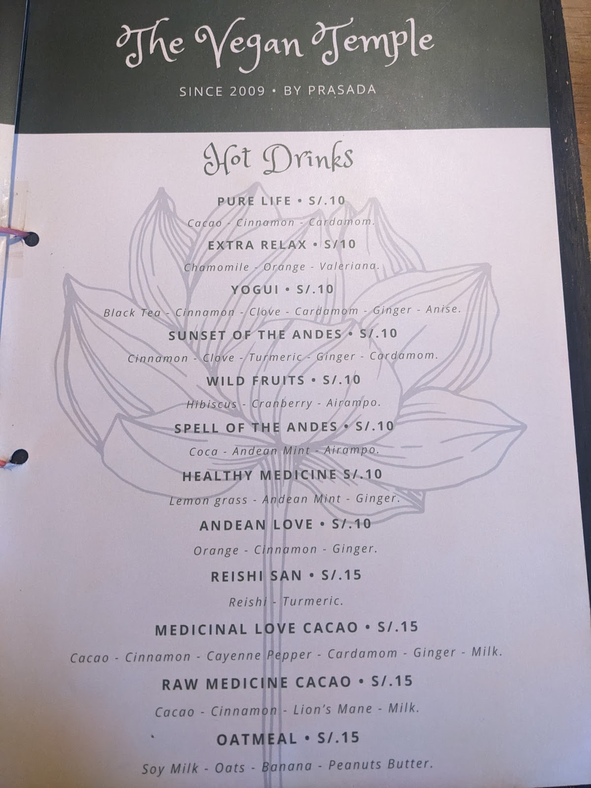 Shaman Vegan Temple — photo 4