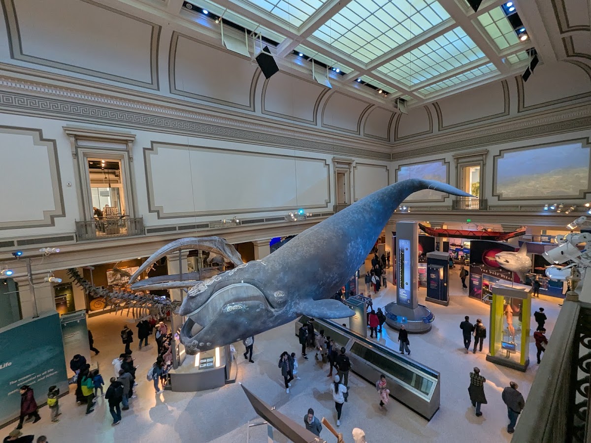 Smithsonian National Museum of Natural History — photo 4