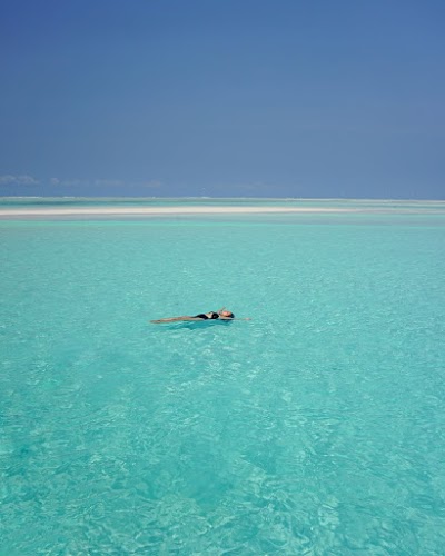 Snorkeling at Mnemba Atoll