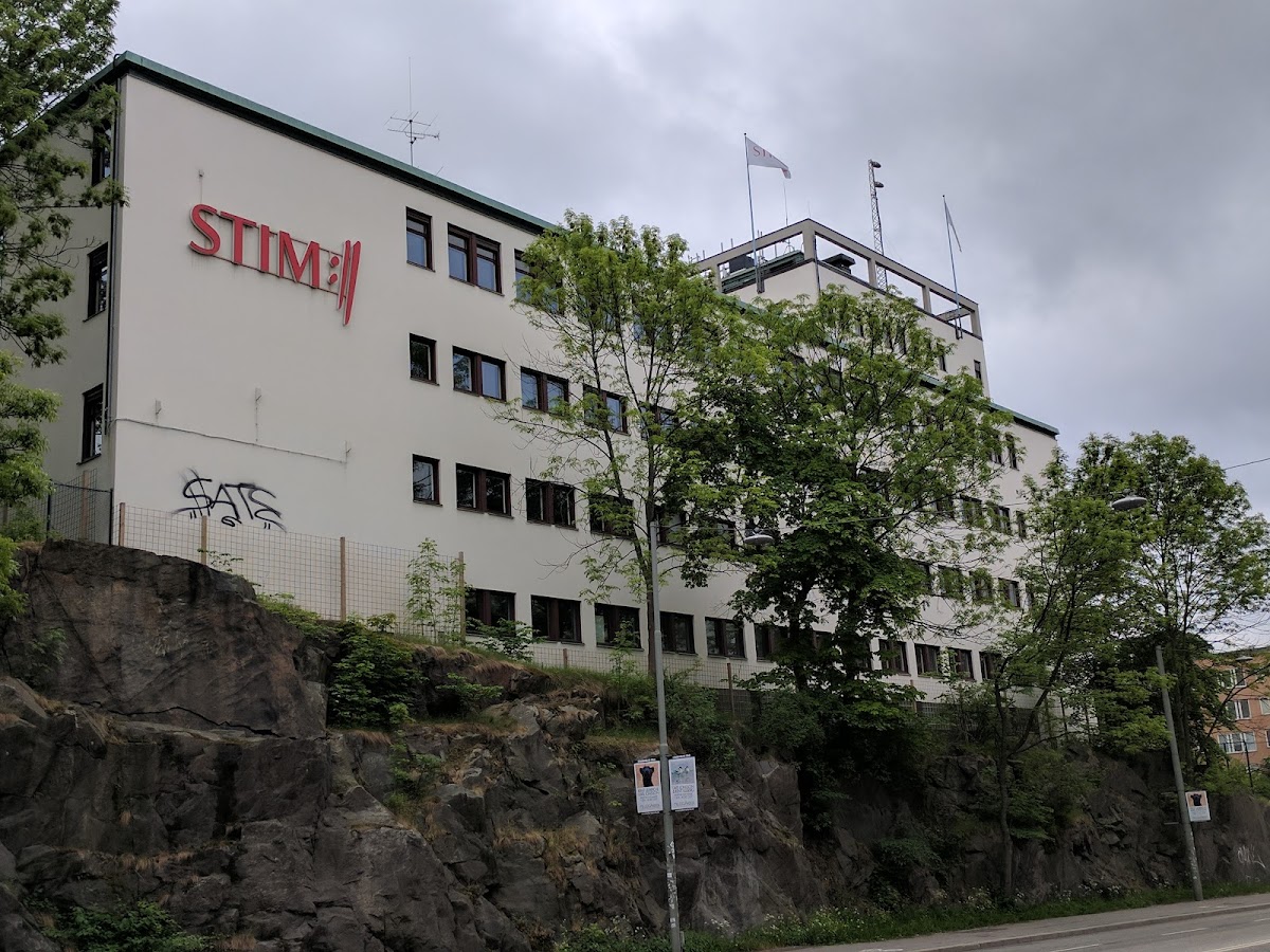 Stim — photo 2