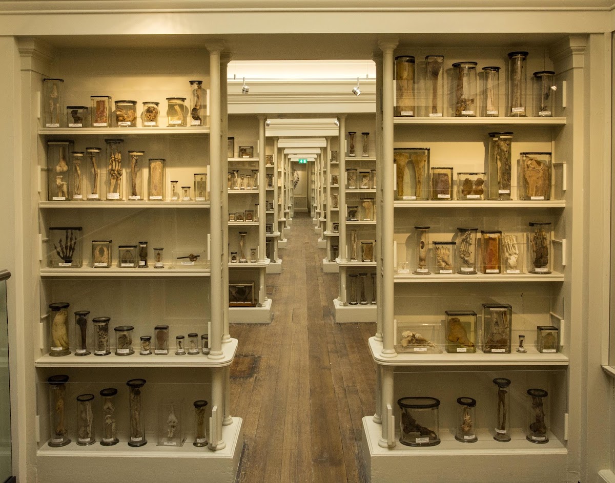 Surgeons' Hall Museums — photo 2