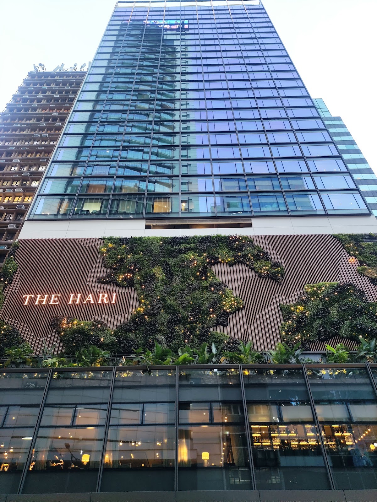 The Hari — photo 5
