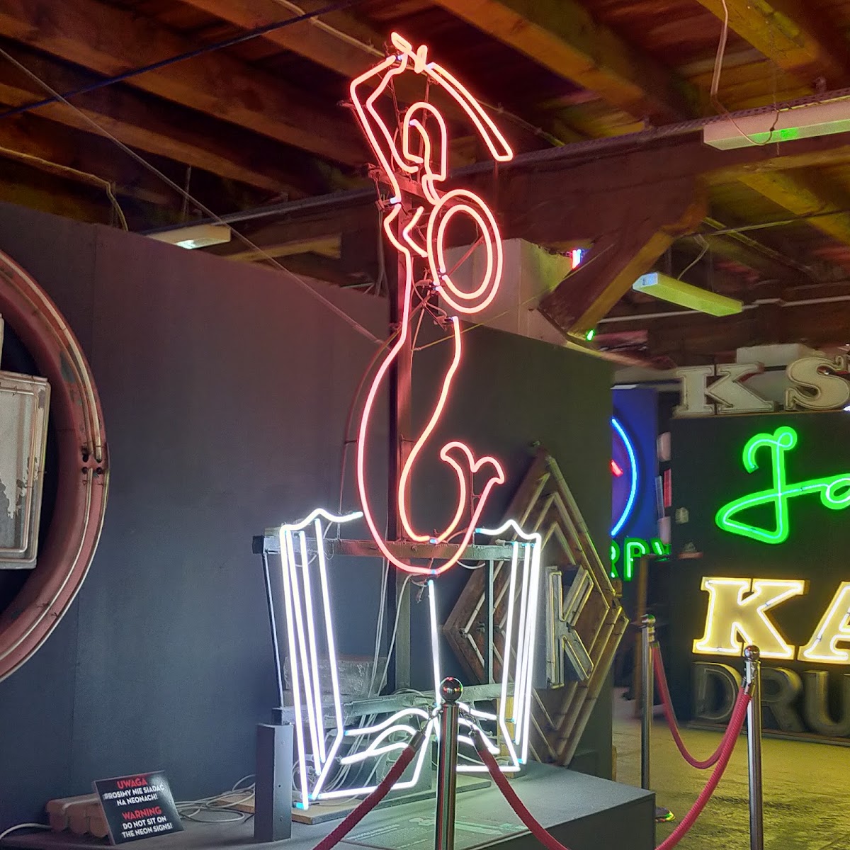 The Neon Museum — photo 3