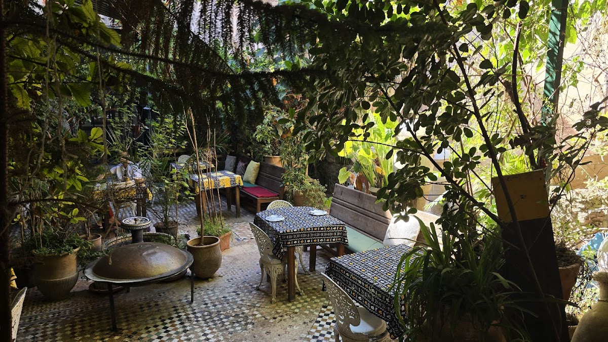 The Ruined Garden, Fes